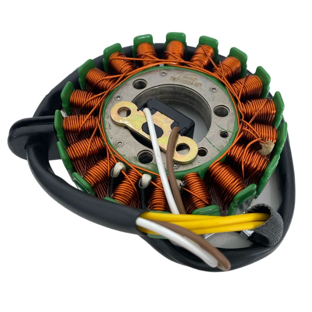 Estator Completo Suzuki Burgman 125 2005 até 2010