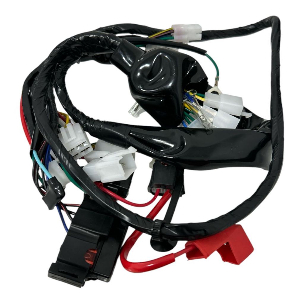 Fiação Principal Chicote Honda Biz 125 Ks 2006 2007 2008 Completo