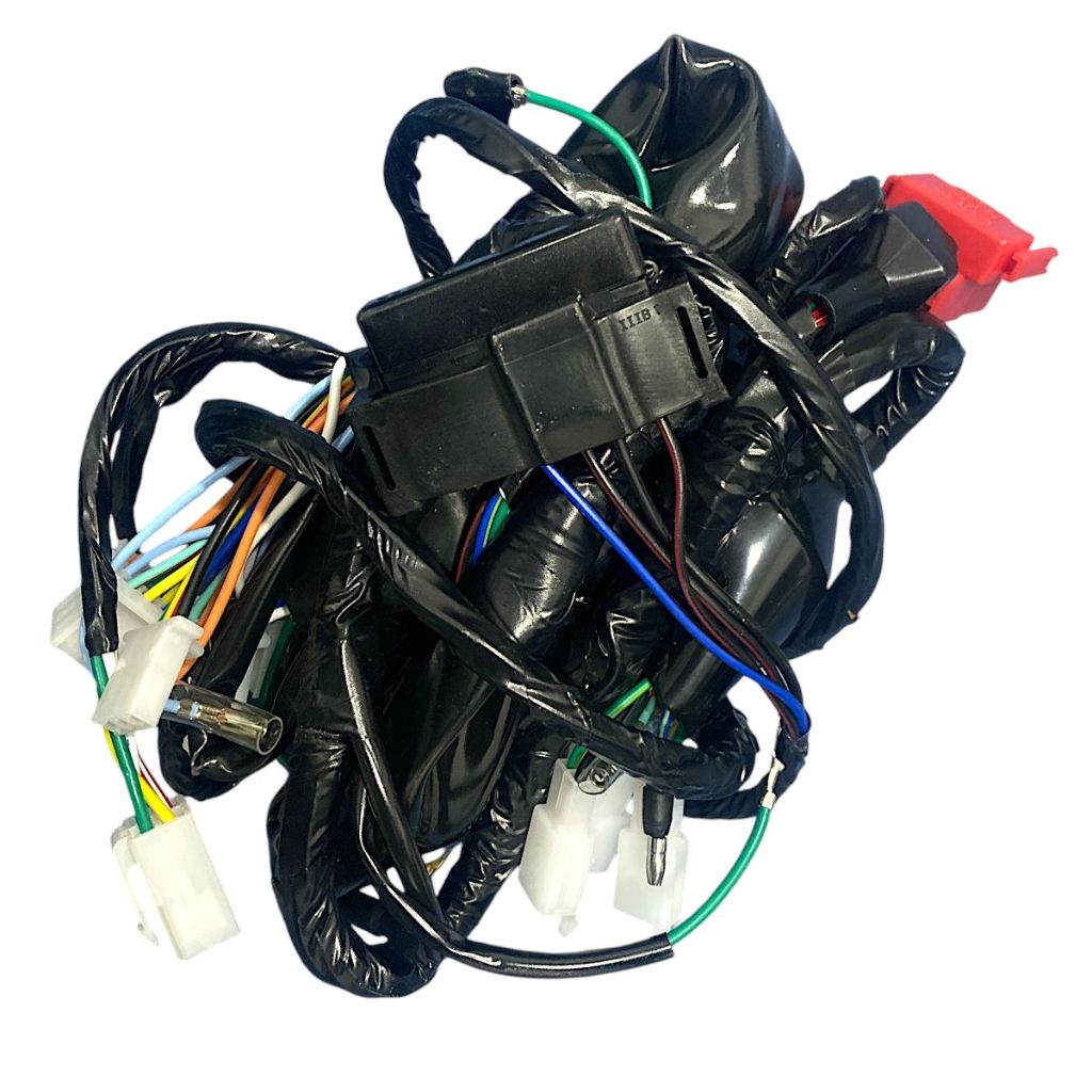 Fiação Principal Completa Honda Cg 150 Titan Es Esd 2004 Até 2008