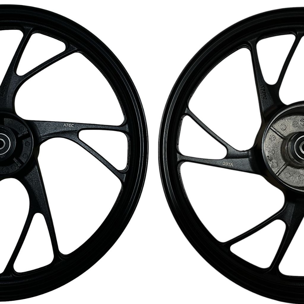 Kit Par De Rodas De Liga Leve Pé de Galinha + Disco De Freio Cg Titan/Fan 150 09 A 13