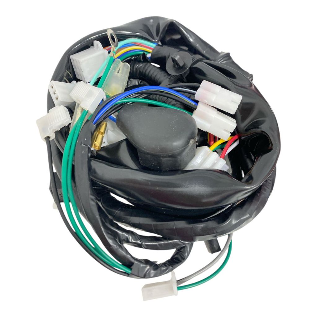 Chicote Fiação Principal Honda Cg 125 Titan Es 2000 2001 2002 Partida Eletrica