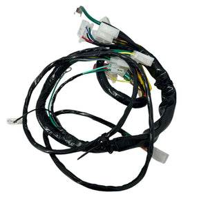 Chicote Completo Fiação Honda Biz 100 Es 2002 2003 2004 2005 2006