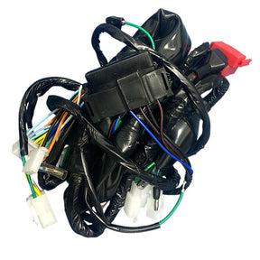 Fiação Principal Completa Honda Cg 150 Titan Es Esd 2004 Até 2008