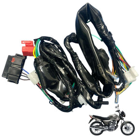 Fiação Principal Completa Honda Cg 150 Titan Es Esd 2004 Até 2008