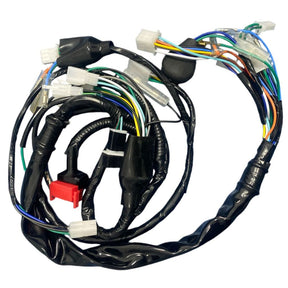 Fiação Principal Completa Honda Cg 125 Titan Es Kse 2003 Até 2004