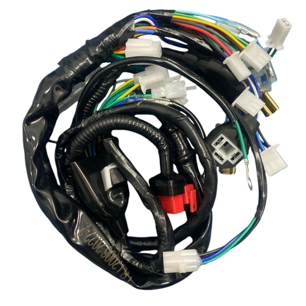 Fiação Principal Completa Honda Cg 125 Titan Es Kse 2003 Até 2004