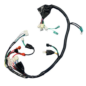 Fiação Completa Principal Shineray Phoenix S 2011 Em Diante