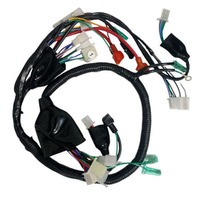 Fiação Completa Principal Shineray Phoenix S 2011 Em Diante