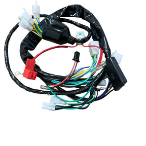 Chicote Fiação Principal Completo Honda Biz 125 Ks 2006 2007 2008