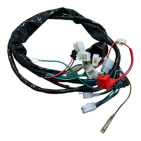 Chicote Fiação Principal Completo Honda Biz 125 Ks 2006 2007 2008