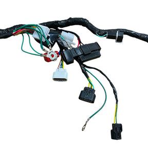 Chicote Fiação Principal Honda Cg 150 Titan Ks 2009 Injeção Eletrônica